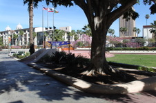 Enlarge photo 69