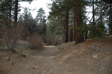 Enlarge photo 3