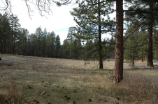 Enlarge photo 24