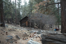 Enlarge photo 25