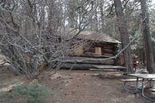 Enlarge photo 33