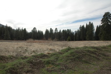 Enlarge photo 35