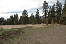 Enlarge photo 36