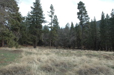 Enlarge photo 37