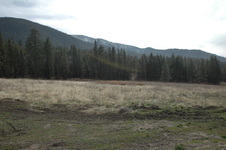Enlarge photo 39
