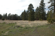 Enlarge photo 40