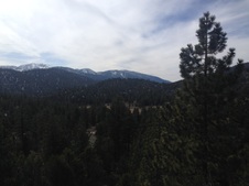Enlarge photo 42