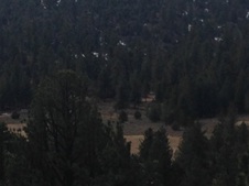 Enlarge photo 43