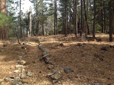 Enlarge photo 45