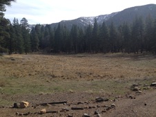 Enlarge photo 46