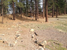 Enlarge photo 47