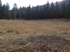 Enlarge photo 48