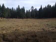 Enlarge photo 51