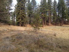 Enlarge photo 52