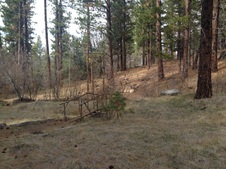 Enlarge photo 55