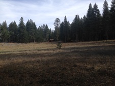Enlarge photo 58