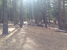 Enlarge photo 91