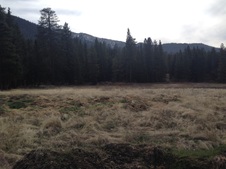 Enlarge photo 105