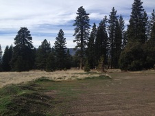 Enlarge photo 107