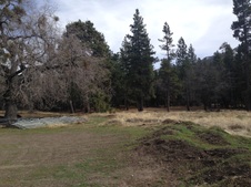 Enlarge photo 109