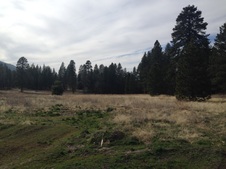 Enlarge photo 113