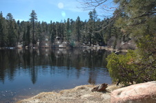 Enlarge photo 2