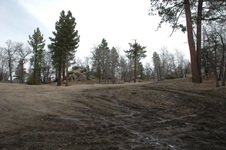 Enlarge photo 13