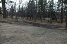 Enlarge photo 16