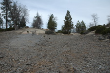 Enlarge photo 21