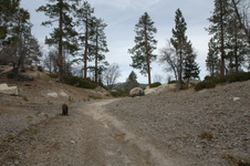 Enlarge photo 22