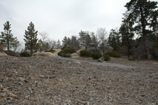Enlarge photo 23