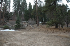 Enlarge photo 26