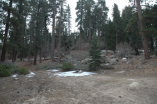 Enlarge photo 27