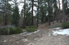 Enlarge photo 29