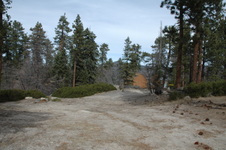 Enlarge photo 33