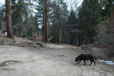 Enlarge photo 34
