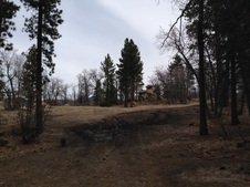 Enlarge photo 35