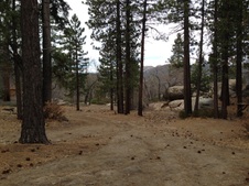 Enlarge photo 36