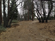 Enlarge photo 37