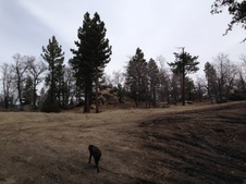 Enlarge photo 38