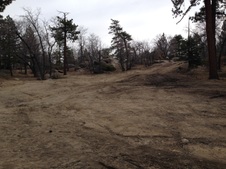 Enlarge photo 39