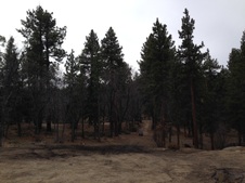 Enlarge photo 41