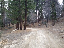 Enlarge photo 44