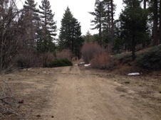 Enlarge photo 46