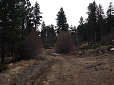 Enlarge photo 47