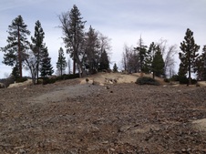 Enlarge photo 48