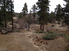 Enlarge photo 52