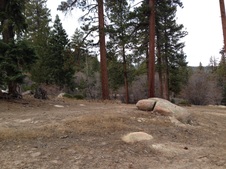 Enlarge photo 55