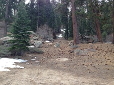 Enlarge photo 58