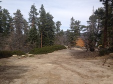 Enlarge photo 59